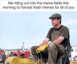 harvesting some fresh memes