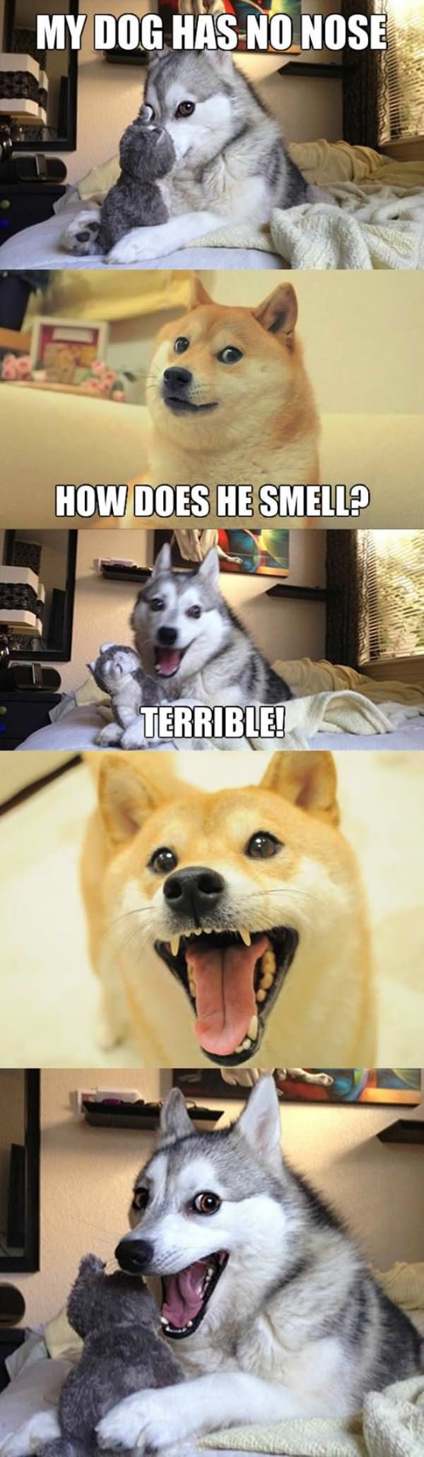 Has No Nose has-no-nose