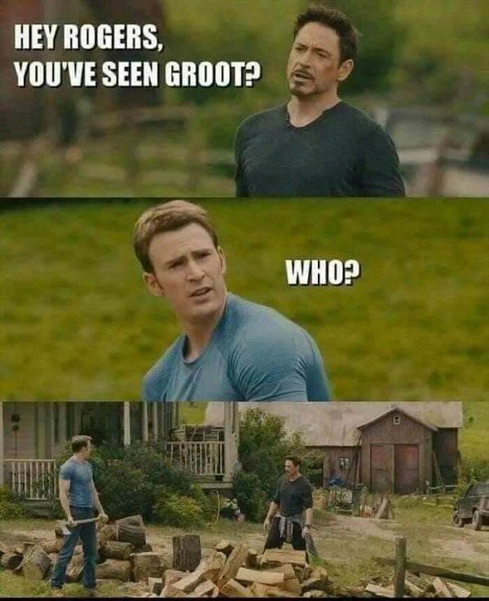 have you seen groot