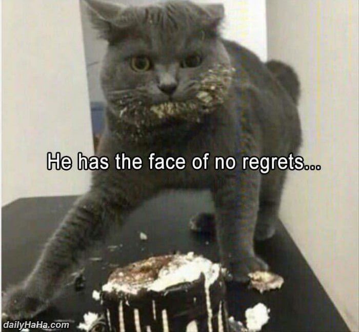 he has the face of no regrets funny picture