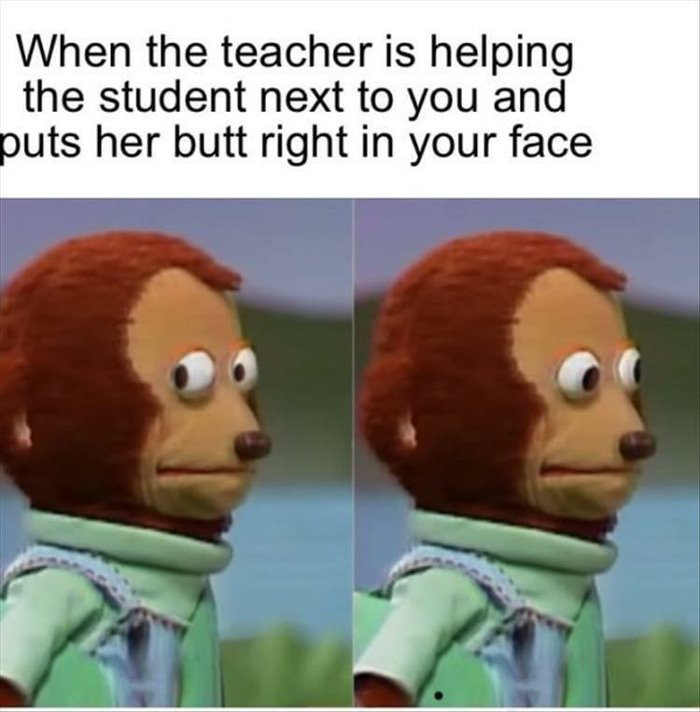 helping the student