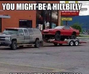 hillbilly