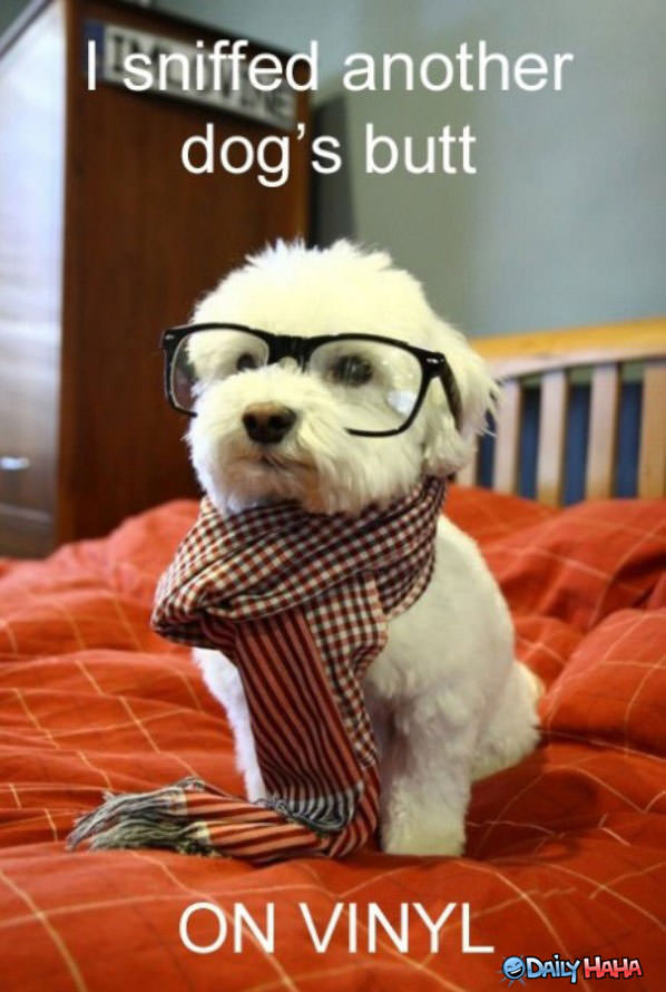 Hipster Dog funny picture