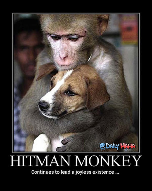 hitman monkey saga