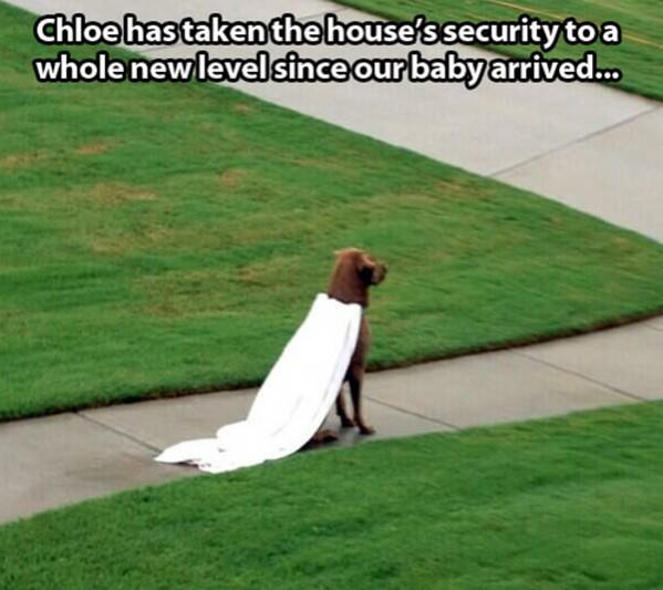 New Home Security funny picture