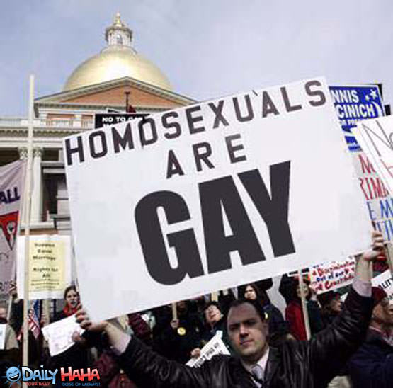 homosexuals_are_gay.jpg