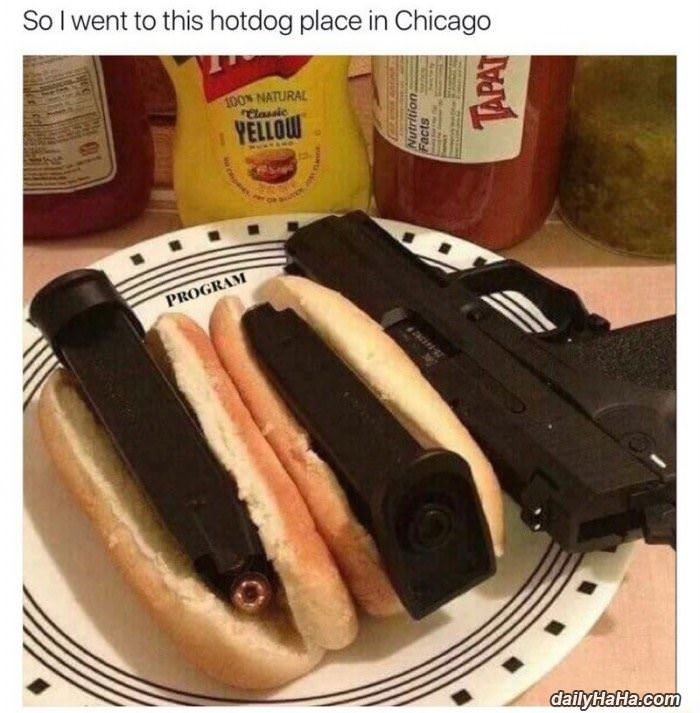 hot dogs in chicago funny picture