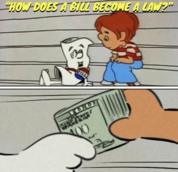 how does a bill become law