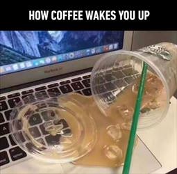 how to really wake up