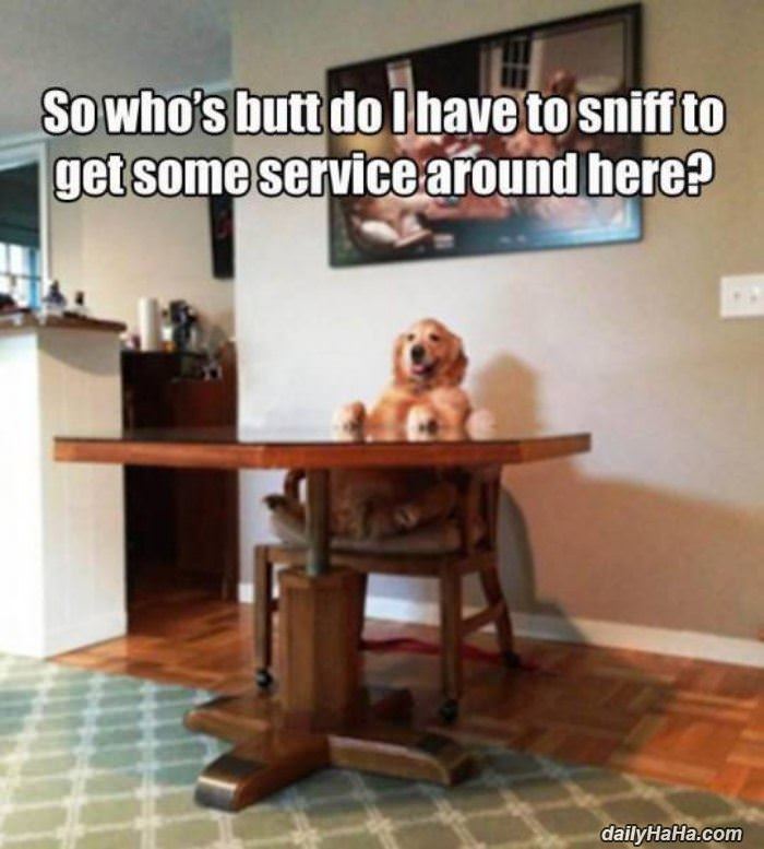 how do i get service funny picture