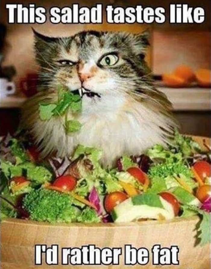 how does your salad taste funny picture