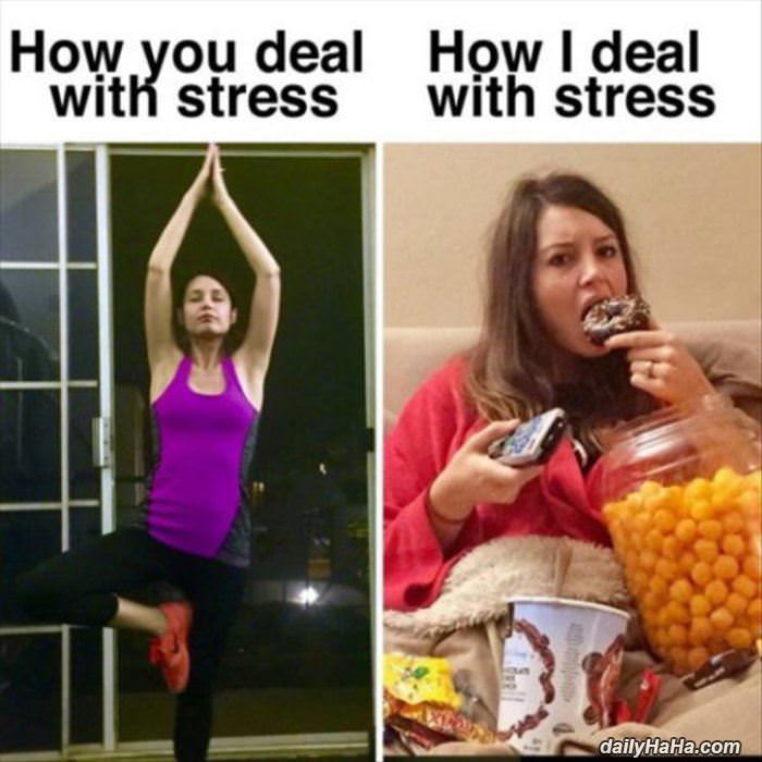 how i deal with stress funny picture