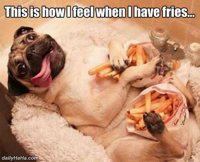 how i feel when i have fries funny picture