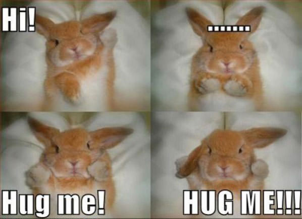 HUGS NOW funny picture