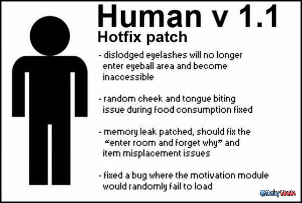 Human Hotfix funny picture