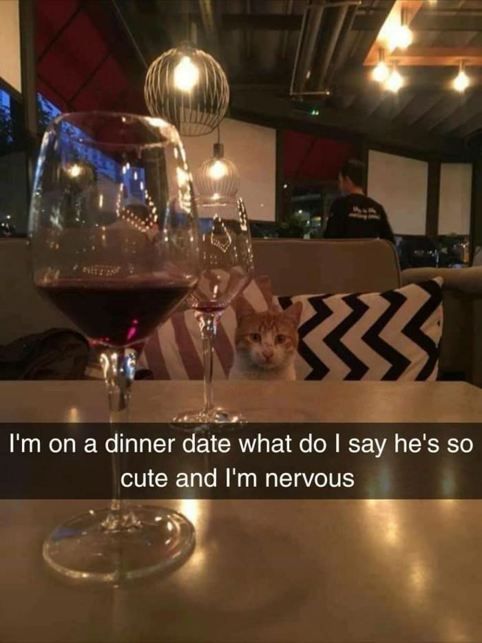 i am on a dinner date