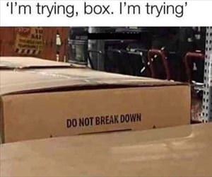 i am trying box