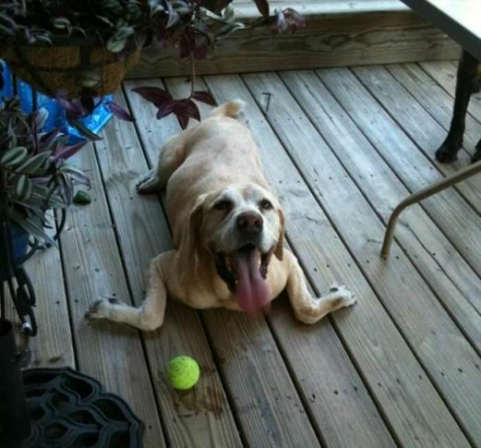 i-got-the-ball i got the ball