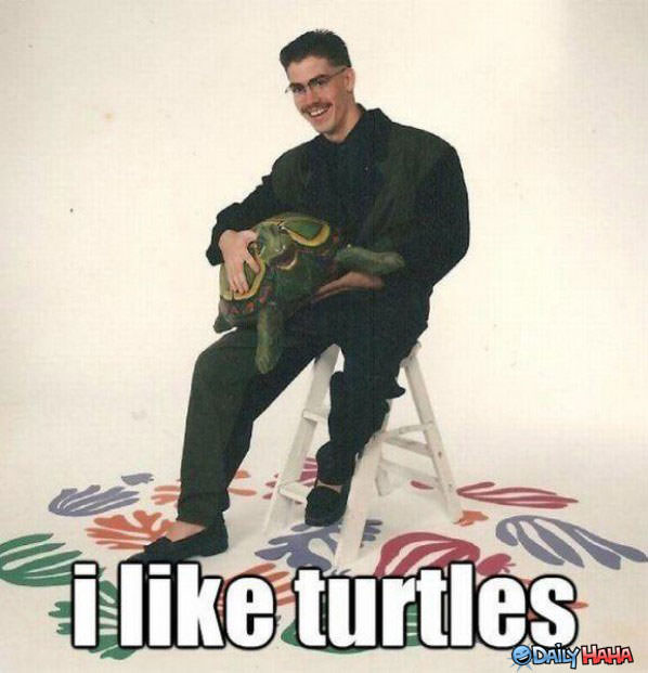 Turtles funny picture