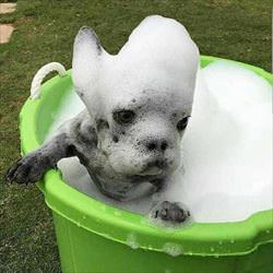 i love bubble bath time