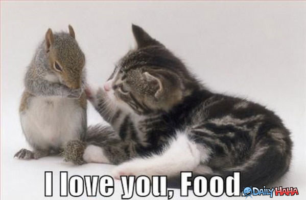 i-love-you-food.jpg