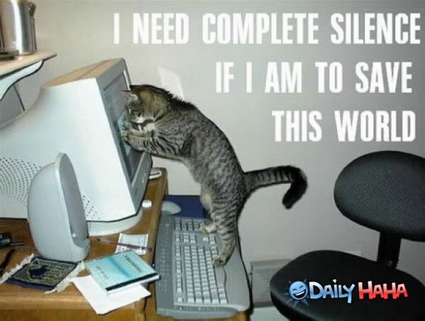 I Need Complete Silence funny picture