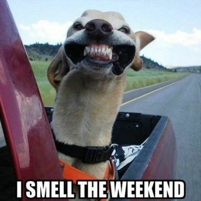 i smell the weekend