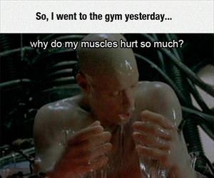 i went to the gym