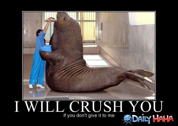 I Will Crush You funny picture