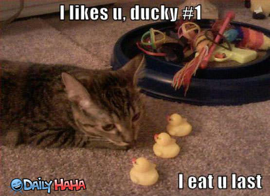 I Likes You Ducky