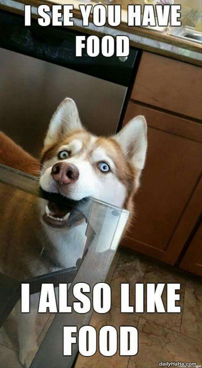 i see you have food funny picture