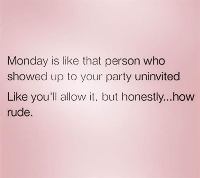 i_will_allow_it_this_once I Will Allow It This Once