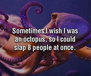 i wish i was an octopus funny picture