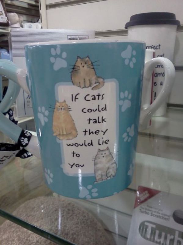 Talking Cats funny picture