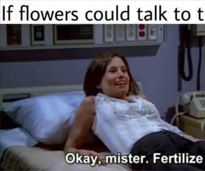 if flowers could talk