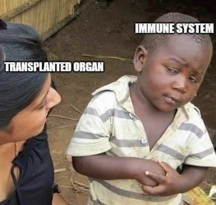 immune system ... 2