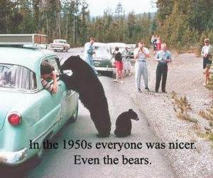 Back in The 1950s Funny Picture