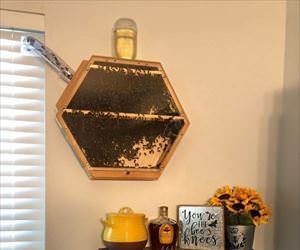 indoor bee hive