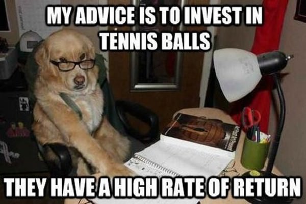 Invest in Tennis Balls funny picture