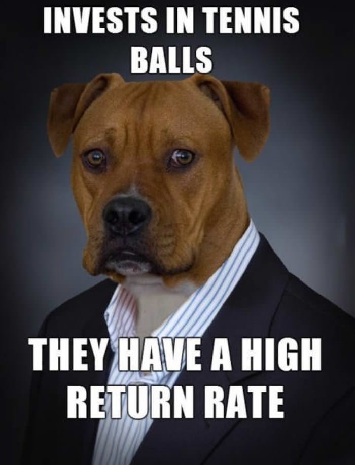 invest in tennis balls funny picture