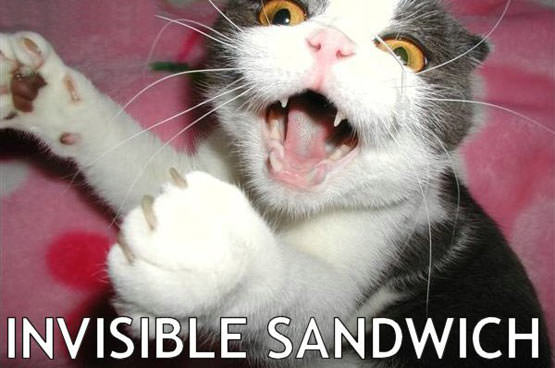 Invisible Sandwich Cat