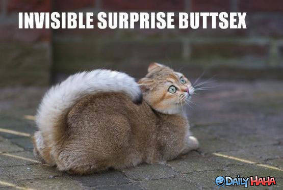 invisible_suprise_buttsecks.jpg