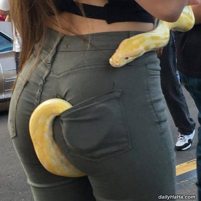 is that a snake in your pocket funny picture
