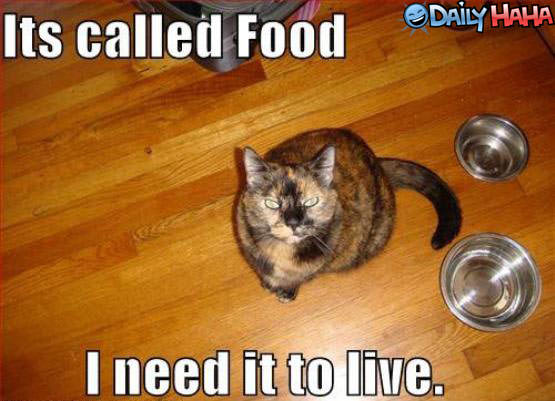 Its called food