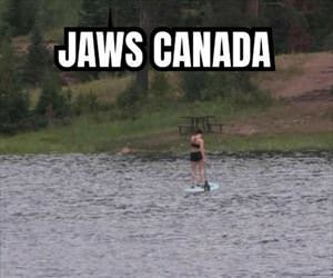 jaws canada