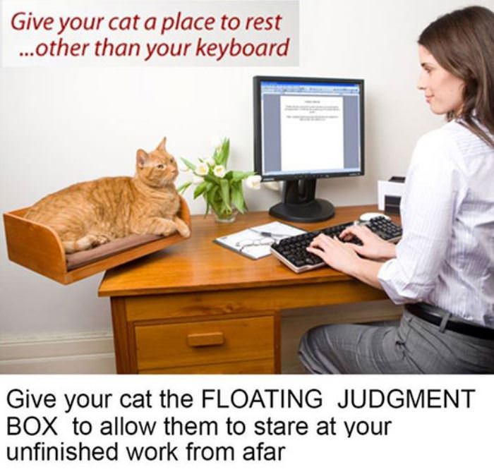 judgement box funny picture