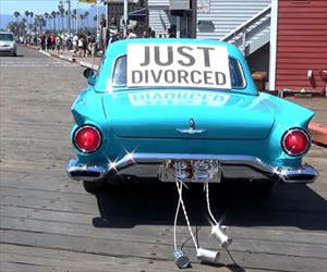 just divorced ... 2