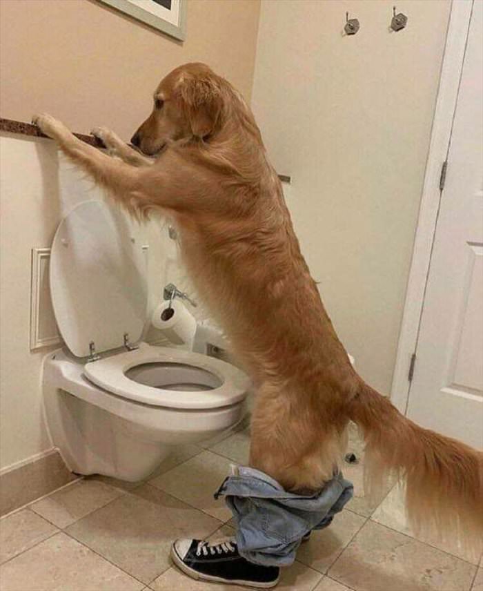 just using the bathroom