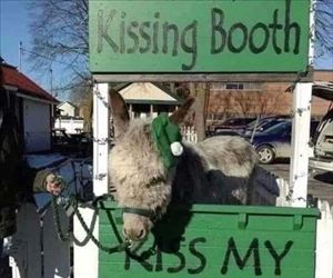 kiss it ... 2
