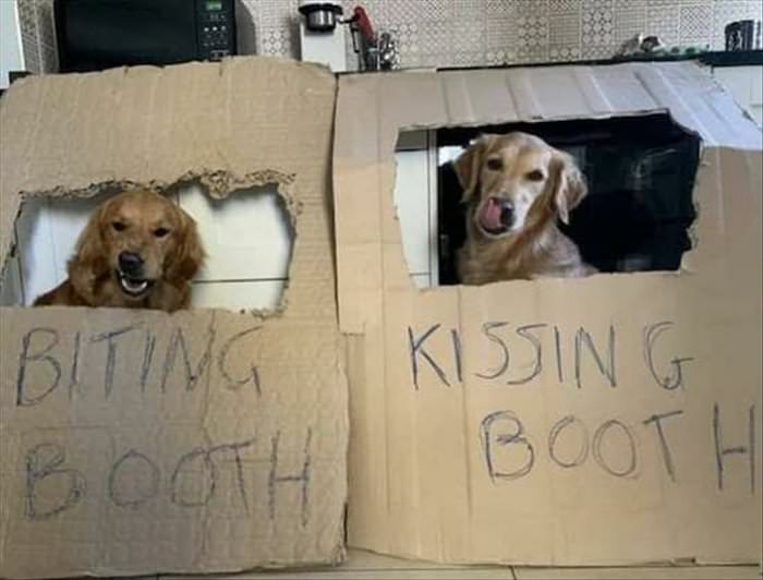 kissing booth ... 2